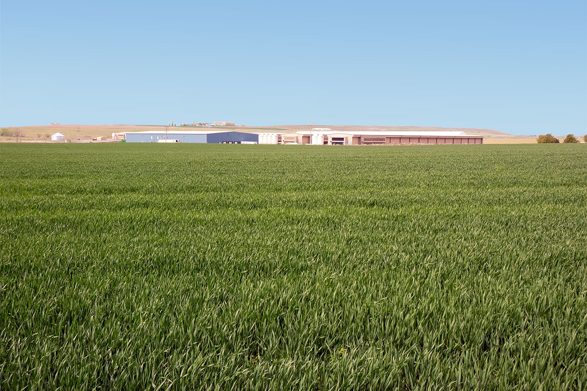 Photo of green open field