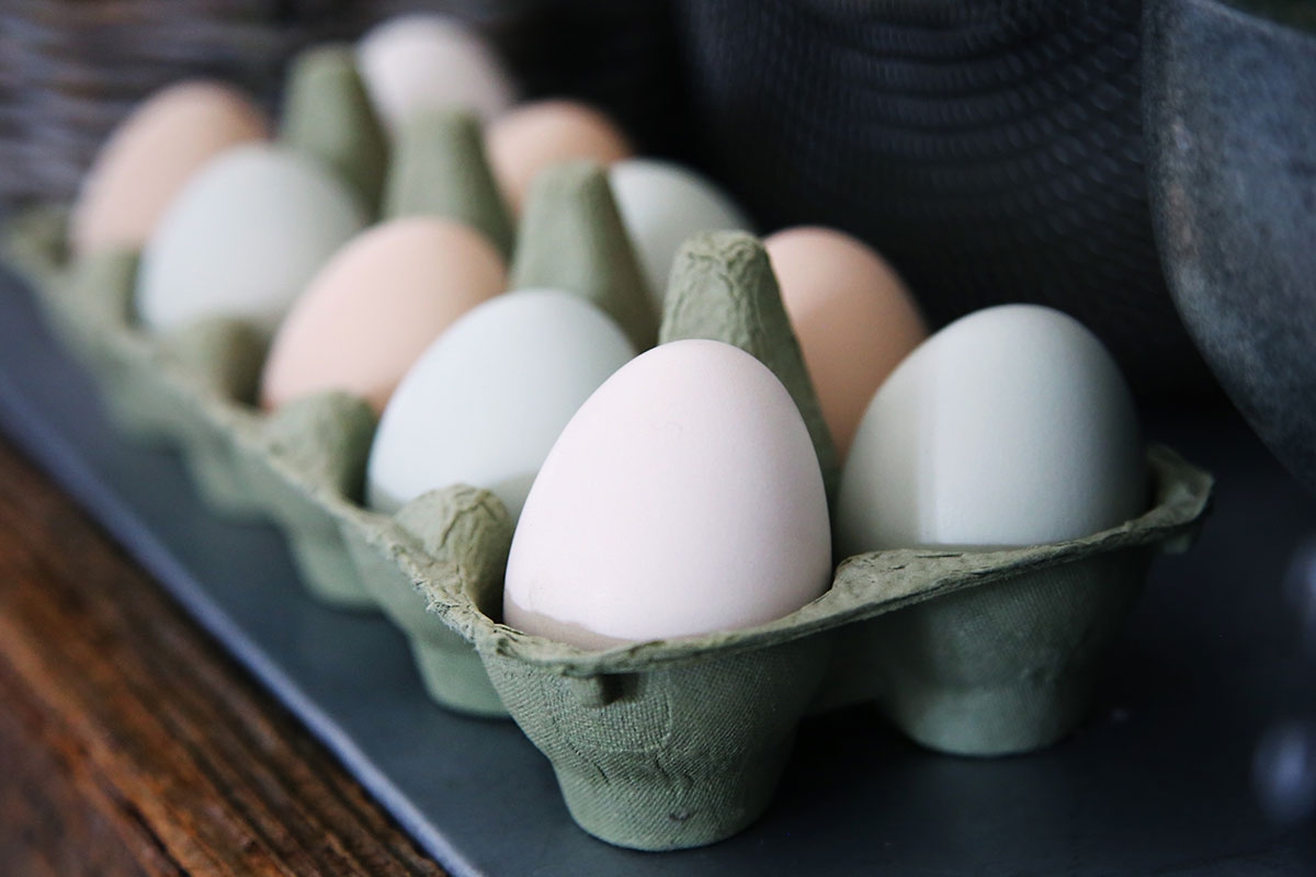 Photo of eggs in a carton