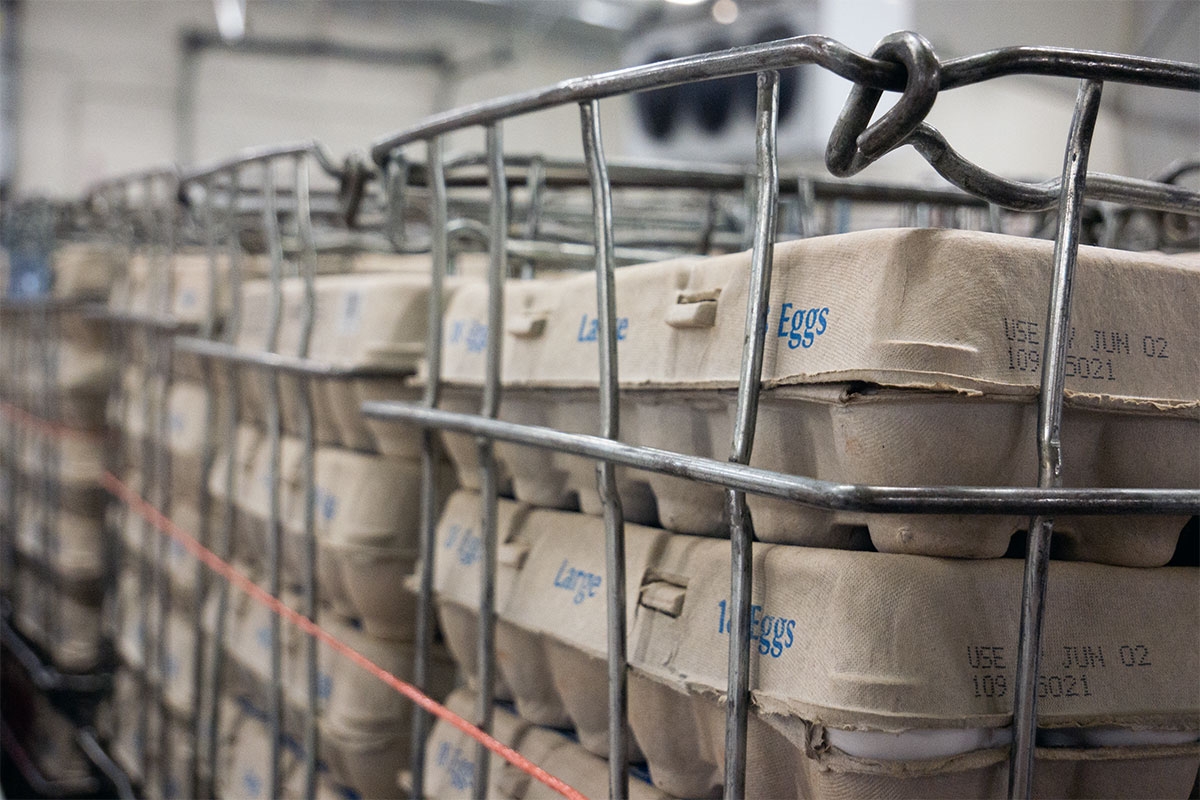 Cases of eggs in cartons