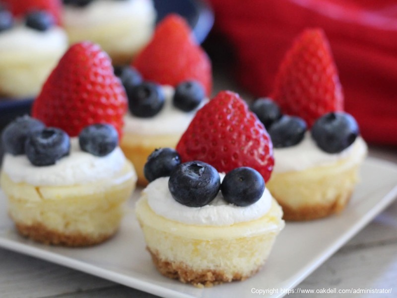 Red, White, and Blue Cheesecake Bites