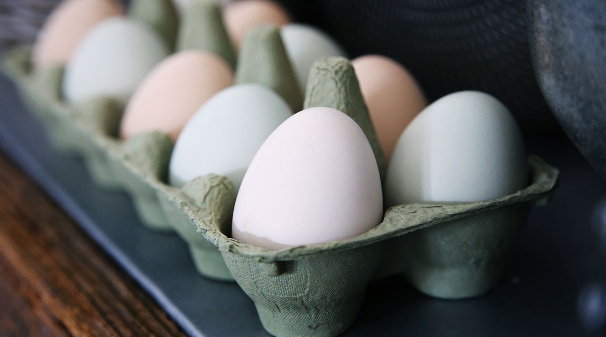 Photo of eggs in a carton
