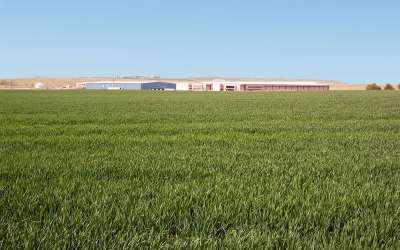Photo of green open field