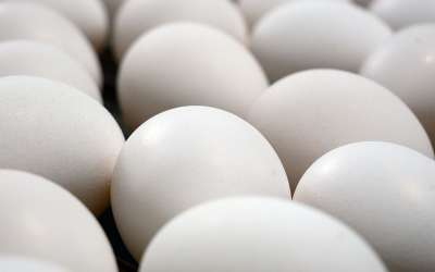 Traditional White Eggs