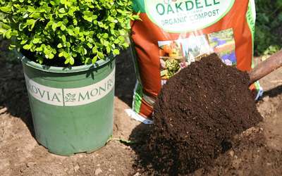 Image of Oakdell Organic Compost bag
