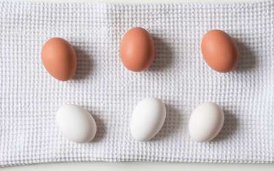Photo of brown and white eggs