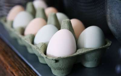 Photo of eggs in a carton