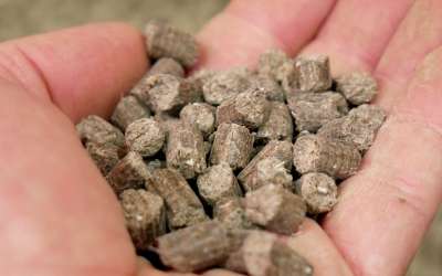 Photo of pelletized manure