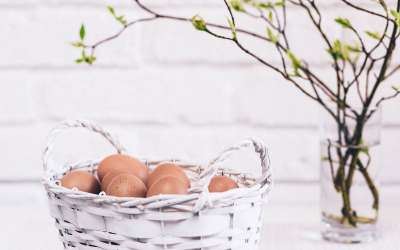 Oakdell Egg Farms - About