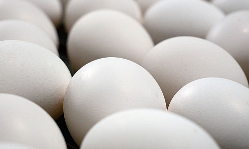 Traditional White Eggs