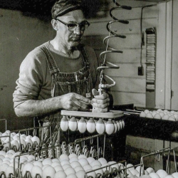 Marlow vacuuming eggs