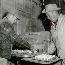 Paul and Ed Benellas on Big Dutchman