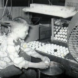 24-Scott-checking-eggs